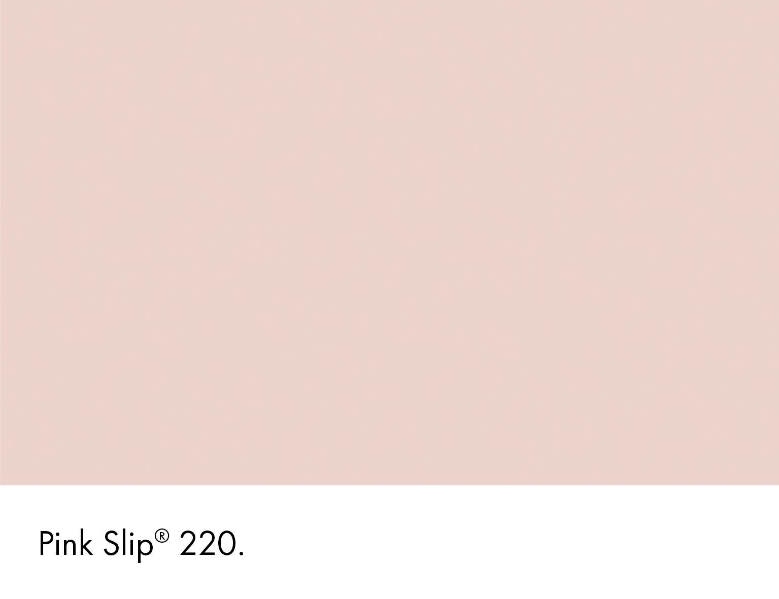 Pink Slip